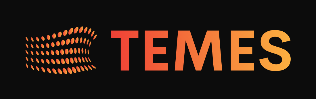 TEMES Symposium logo